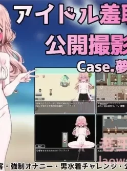 【PC+joi】【日式RPG】アイドル羞恥の公開撮影 生肉版