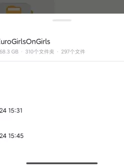 [转载搬运] EuroGirlsOnGirls  全系列2012-2021   大合集（完结） [300v+568.3g][其他下载方式]